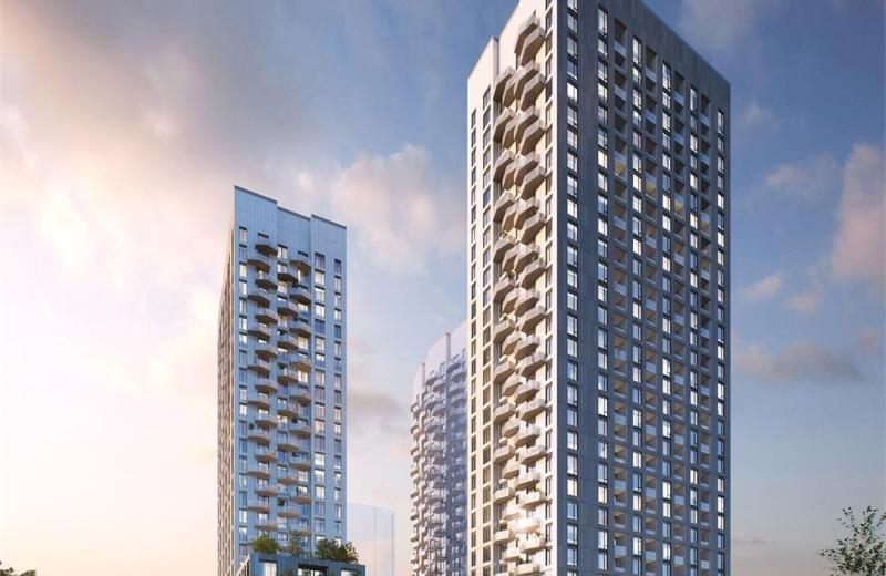 Abeja District Condos