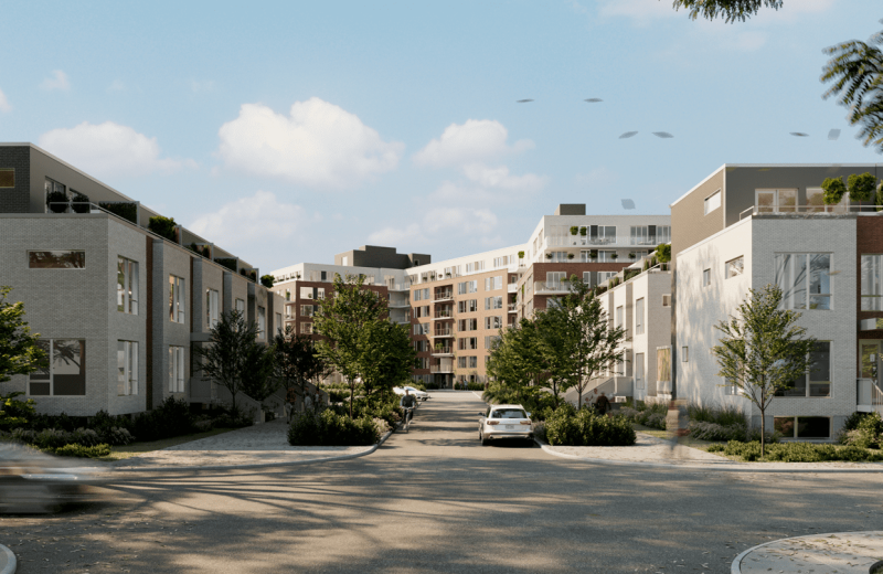 Dalia Condos