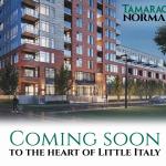 Tamarack Norman Condos