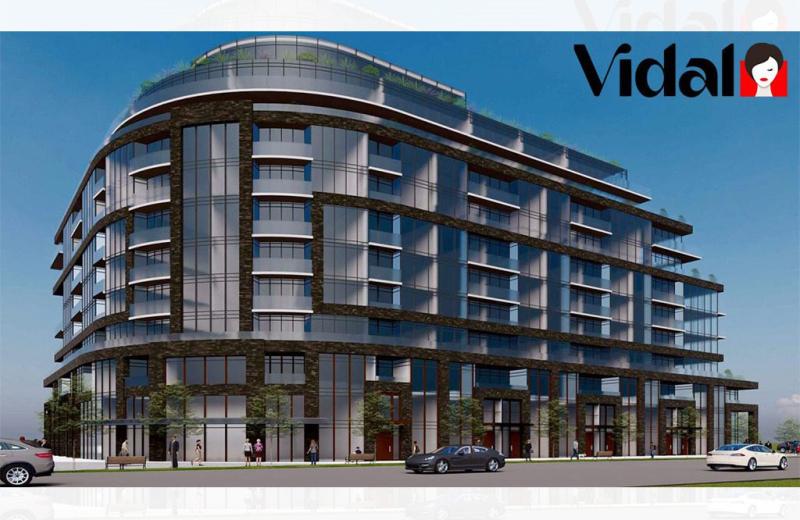 Vidal by Matrix Development Group