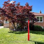 15 Grassington Crescent, Toronto, ON M1G 1X4