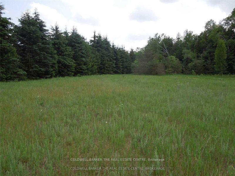 6 Tioga Boulevard, Adjala-Tosorontio, ON L0M 1J0