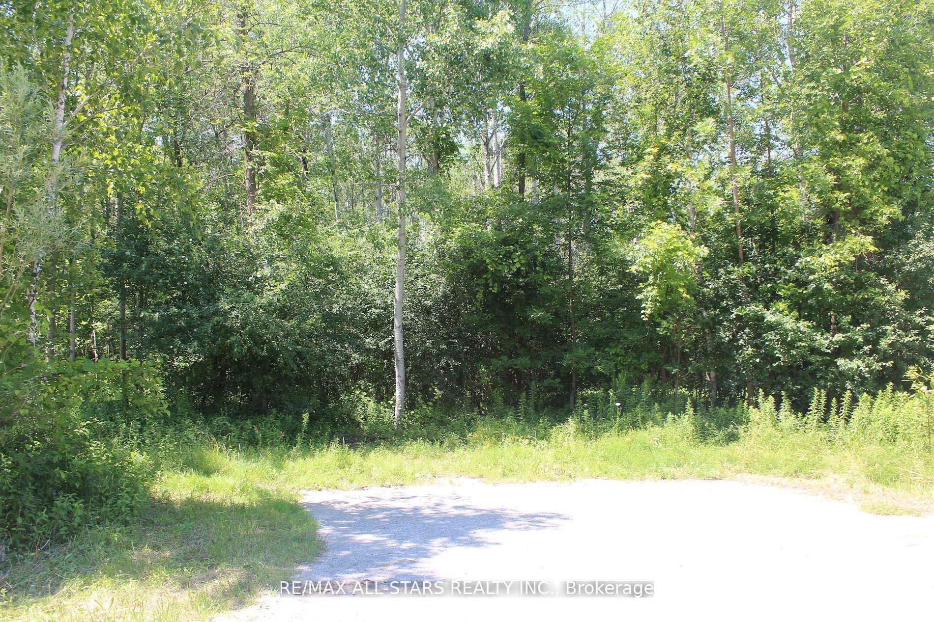 0 Metro Road, Georgina, ON L4P 3G1