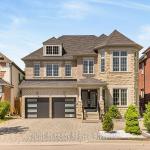 61 Isaiah Drive W (Basement), Vaughan, ON L4H 0T4
