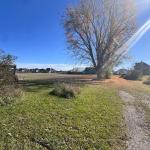 211 Queen Street W, Springwater, ON L0L 1P0