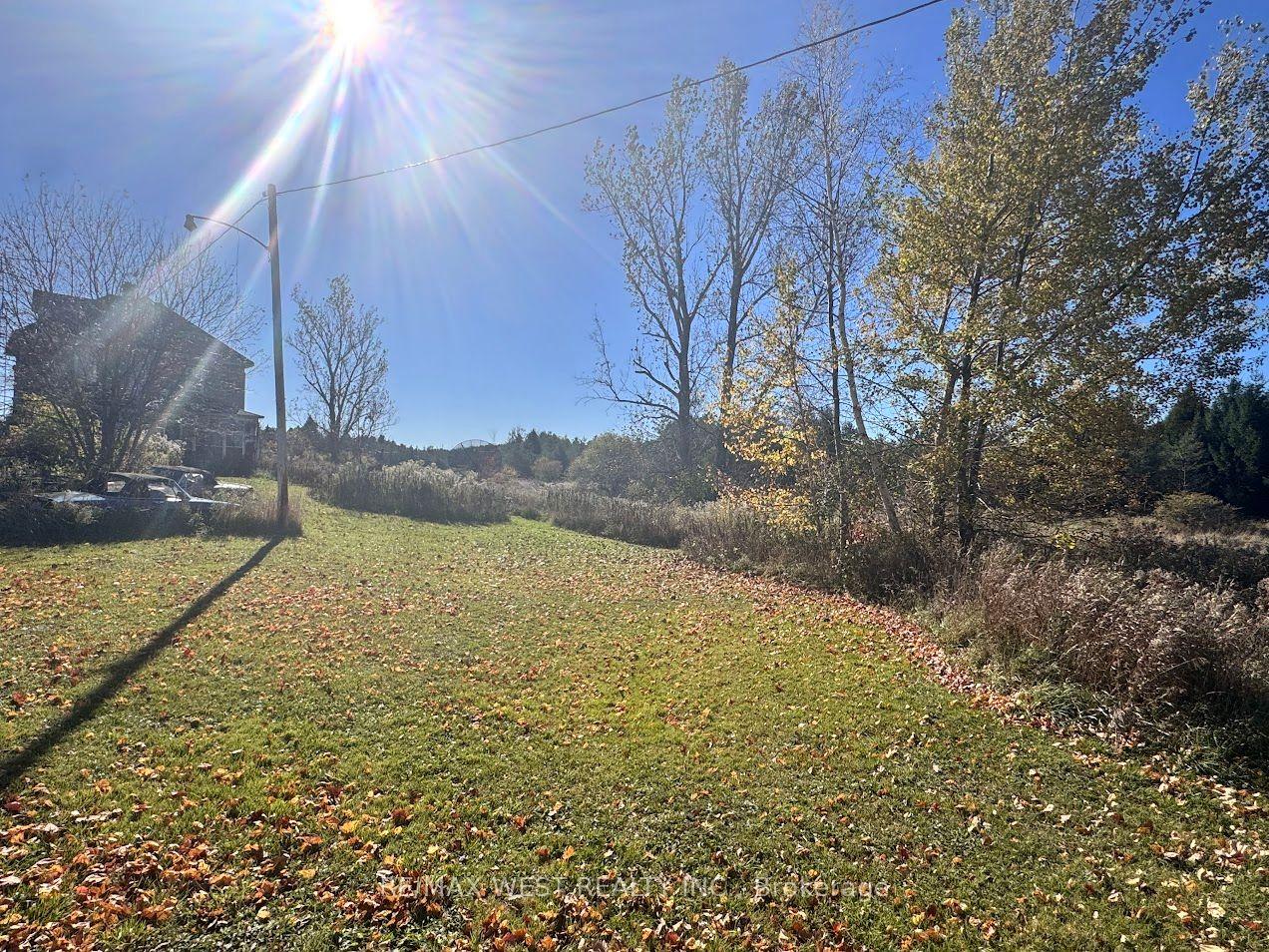 211 Queen Street W, Springwater, ON L0L 1P0
