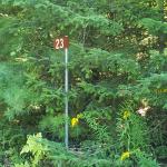 23 Stoney Road, Tiny, ON L9M 0H2