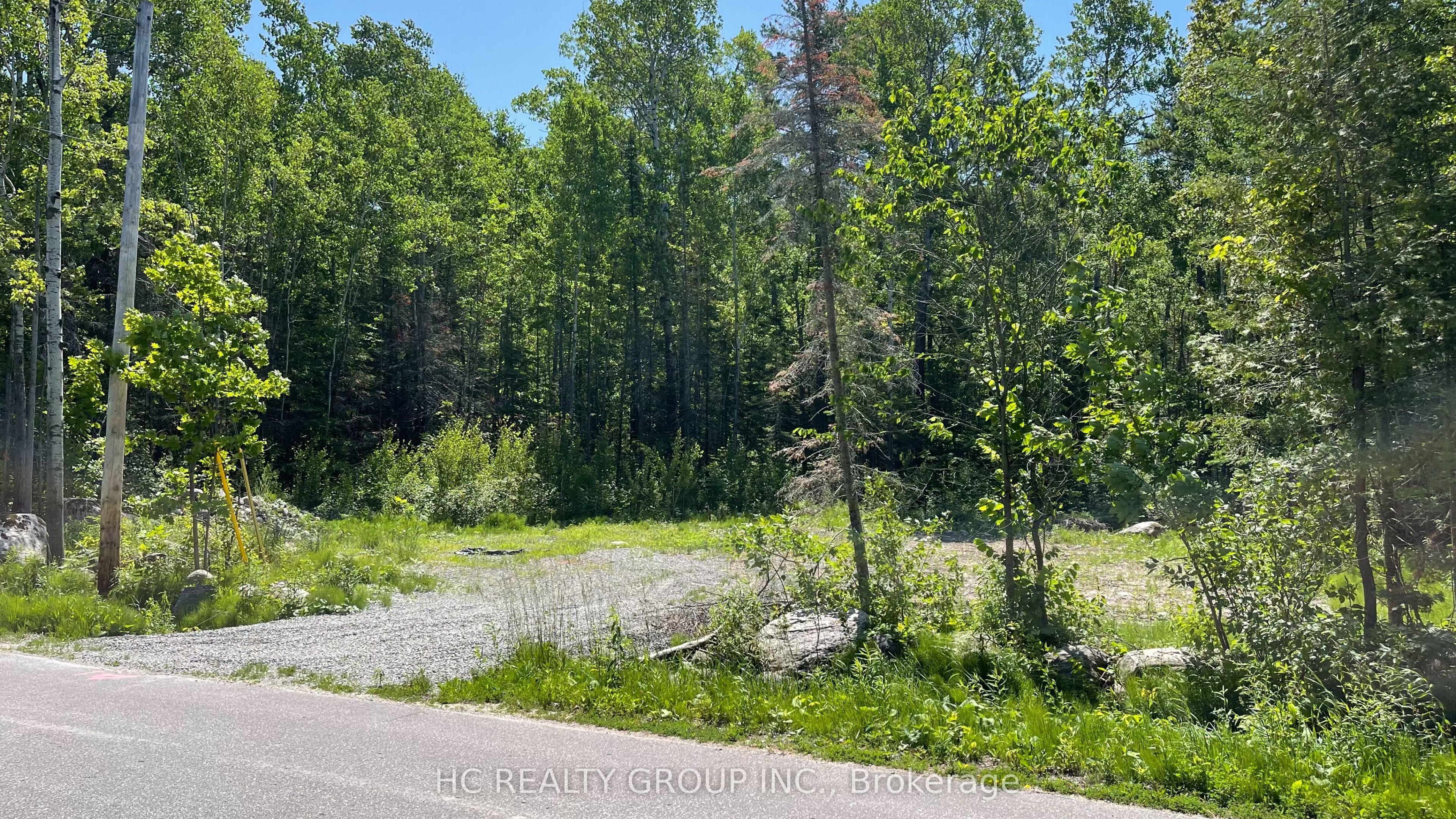 Lt101 Silver Birch Drive, Tiny, ON L9M 0M5