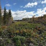 PCL 3898 Bristol Township MINING CLAIM P. 8531, Timmins, ON P4R 0E7
