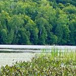 151 MAPLE Drive, Parry Sound Remote Area, ON P0H 1S0