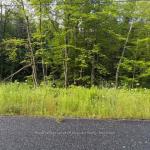 47 Summer Leigh Trail, Huntsville, ON P0B 1M0