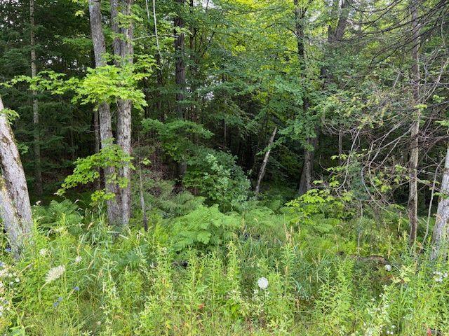 47 Summer Leigh Trail, Huntsville, ON P0B 1M0