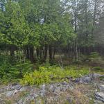 LT 254 Dorcas Bay Road, Northern Bruce Peninsula, ON N0H 2R0