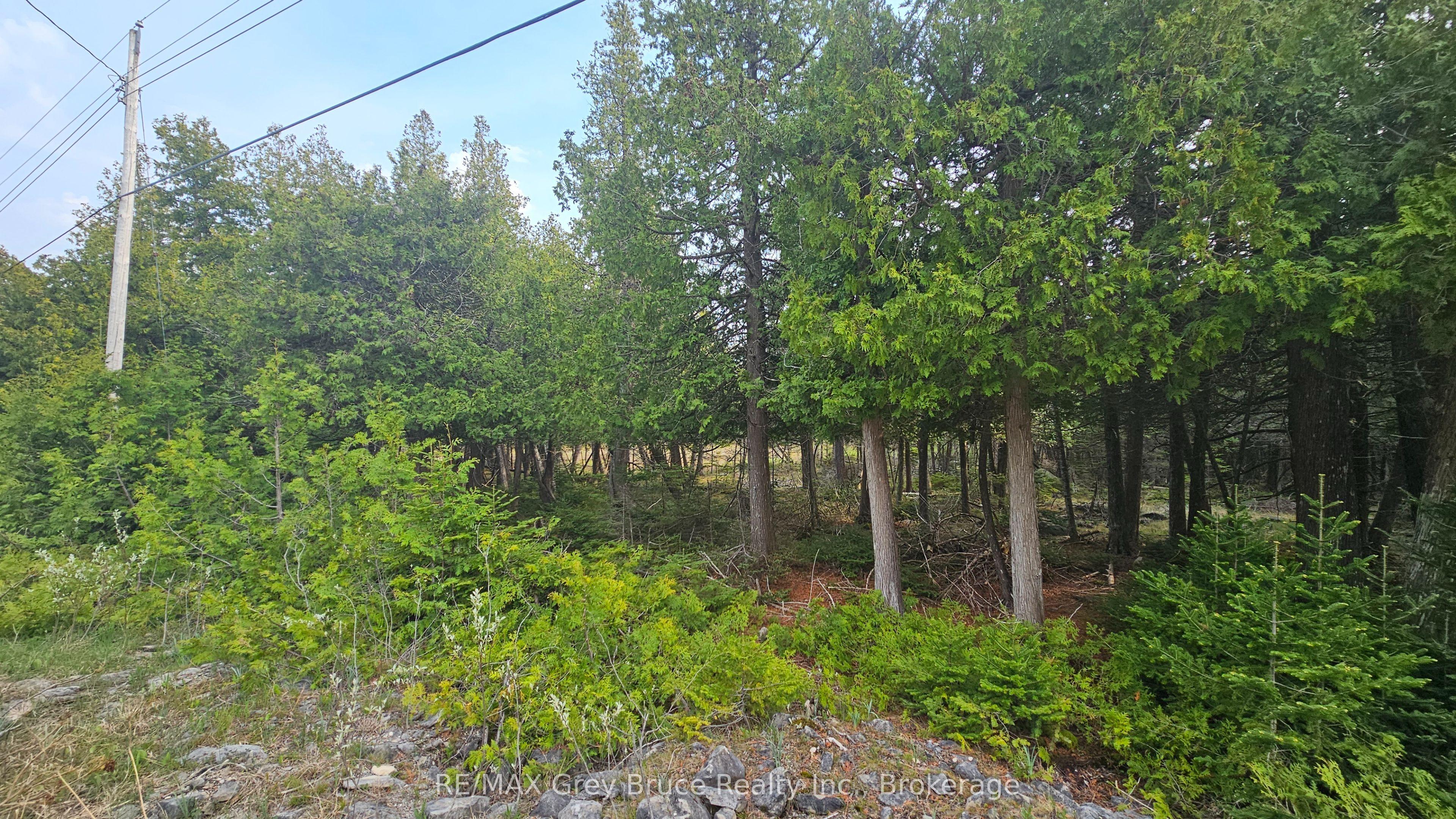 LT 254 Dorcas Bay Road, Northern Bruce Peninsula, ON N0H 2R0