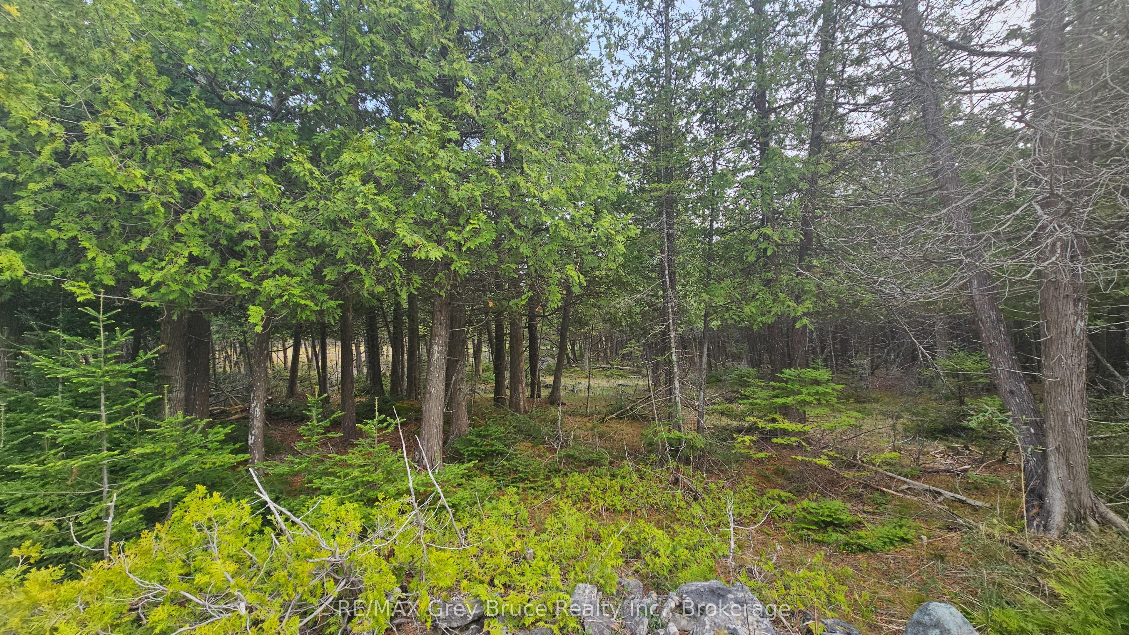 LT 254 Dorcas Bay Road, Northern Bruce Peninsula, ON N0H 2R0