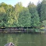 75 - 372 Murphy Road, Rideau Lakes, ON K0G 1X0