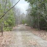 N/A Dial Road N, Central Manitoulin, ON P0P 2C0