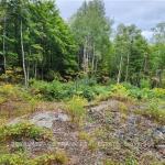 169 Northern Avenue, Trent Lakes, ON K0M 1A0