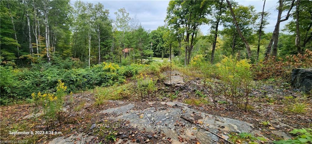 169 Northern Avenue, Trent Lakes, ON K0M 1A0