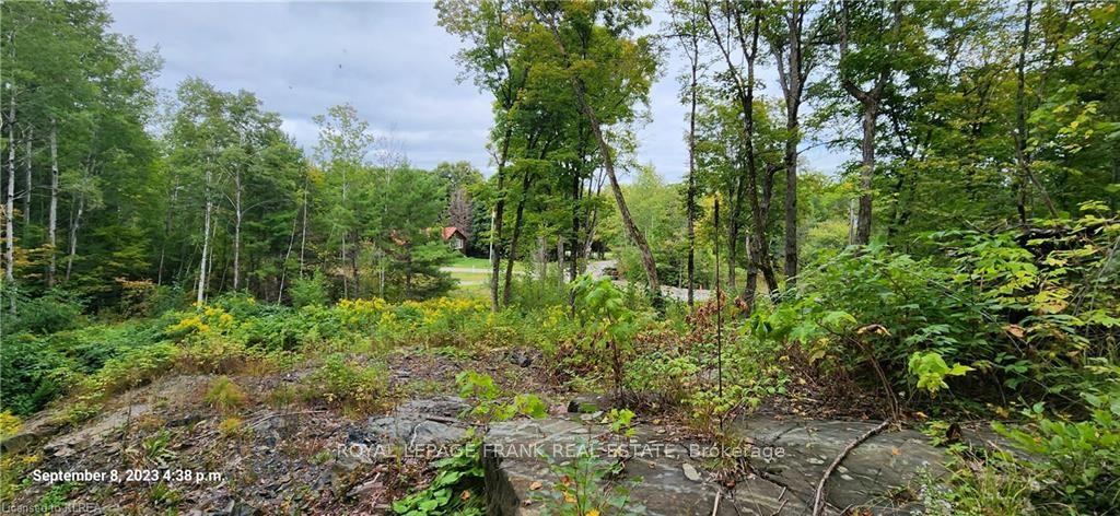 169 Northern Avenue, Trent Lakes, ON K0M 1A0