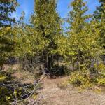 0 Sutter Road, Northern Bruce Peninsula, ON N0H 2T0