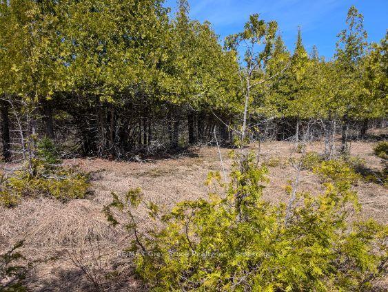 0 Sutter Road, Northern Bruce Peninsula, ON N0H 2T0