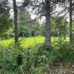 1161 Edgewood Road, Hamilton, ON L8B 1A1