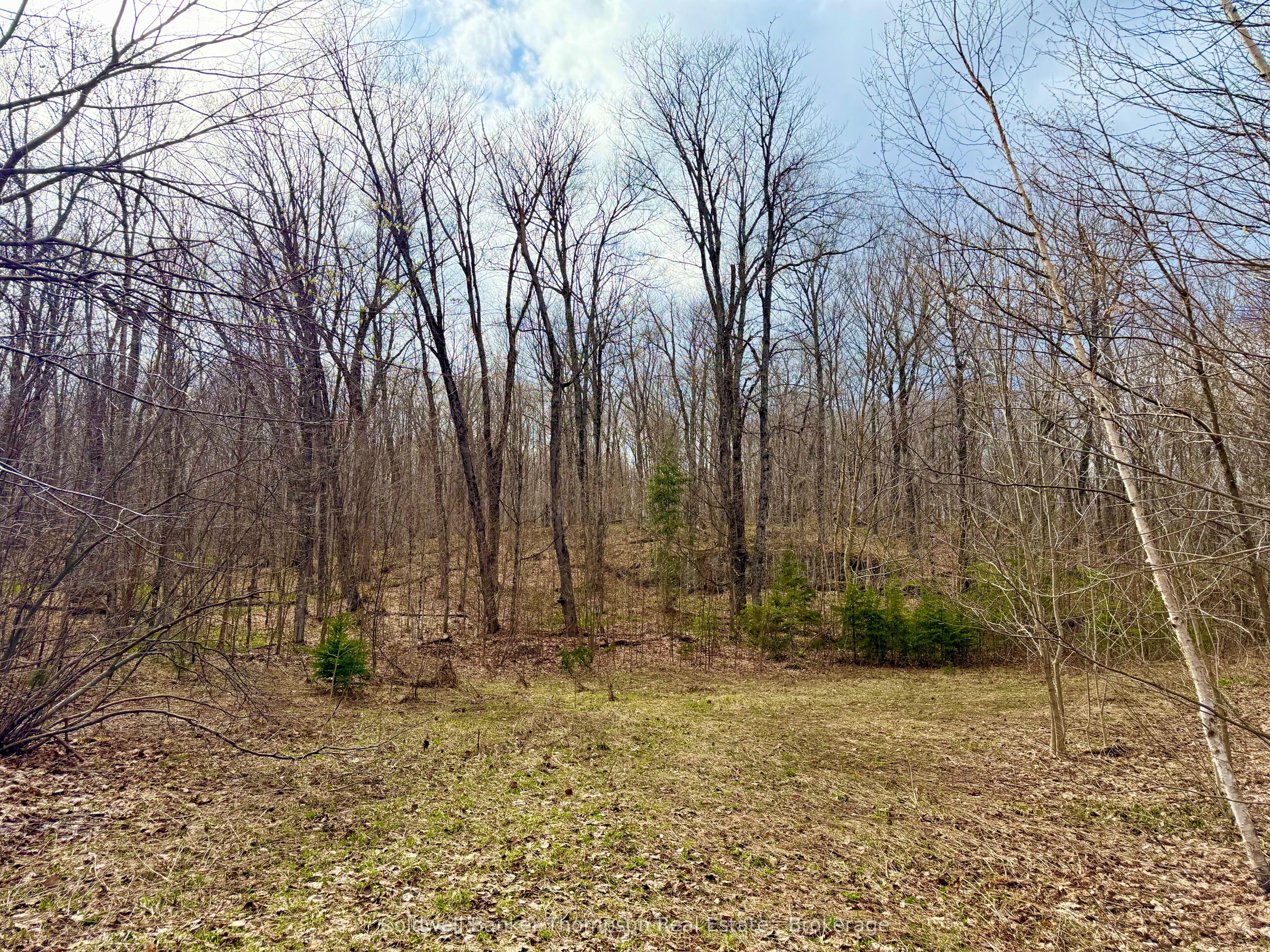 0-A S Maple Drive S, Parry Sound Remote Area, ON P0H 1S0