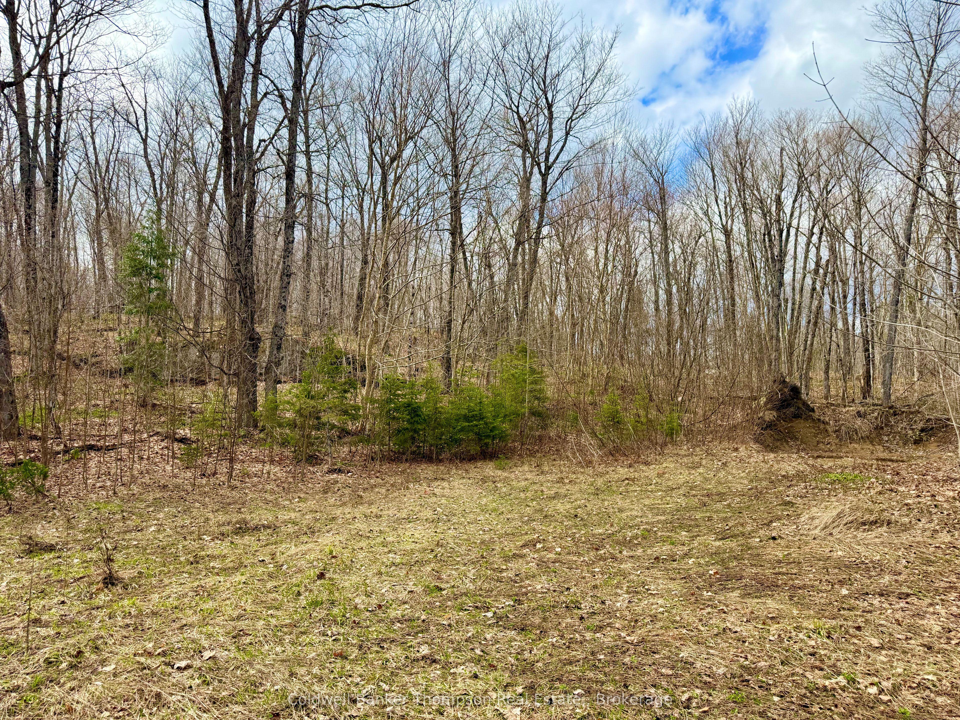 0-A S Maple Drive S, Parry Sound Remote Area, ON P0H 1S0
