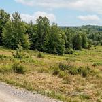 LOT 37 Viewmount Avenue, Trent Hills, ON K0L 1Z0