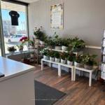 139 George Street N 6, Peterborough, ON K9J 3G6