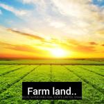 60165 #27 R.R Road, Wainfleet, ON L0S 1V0