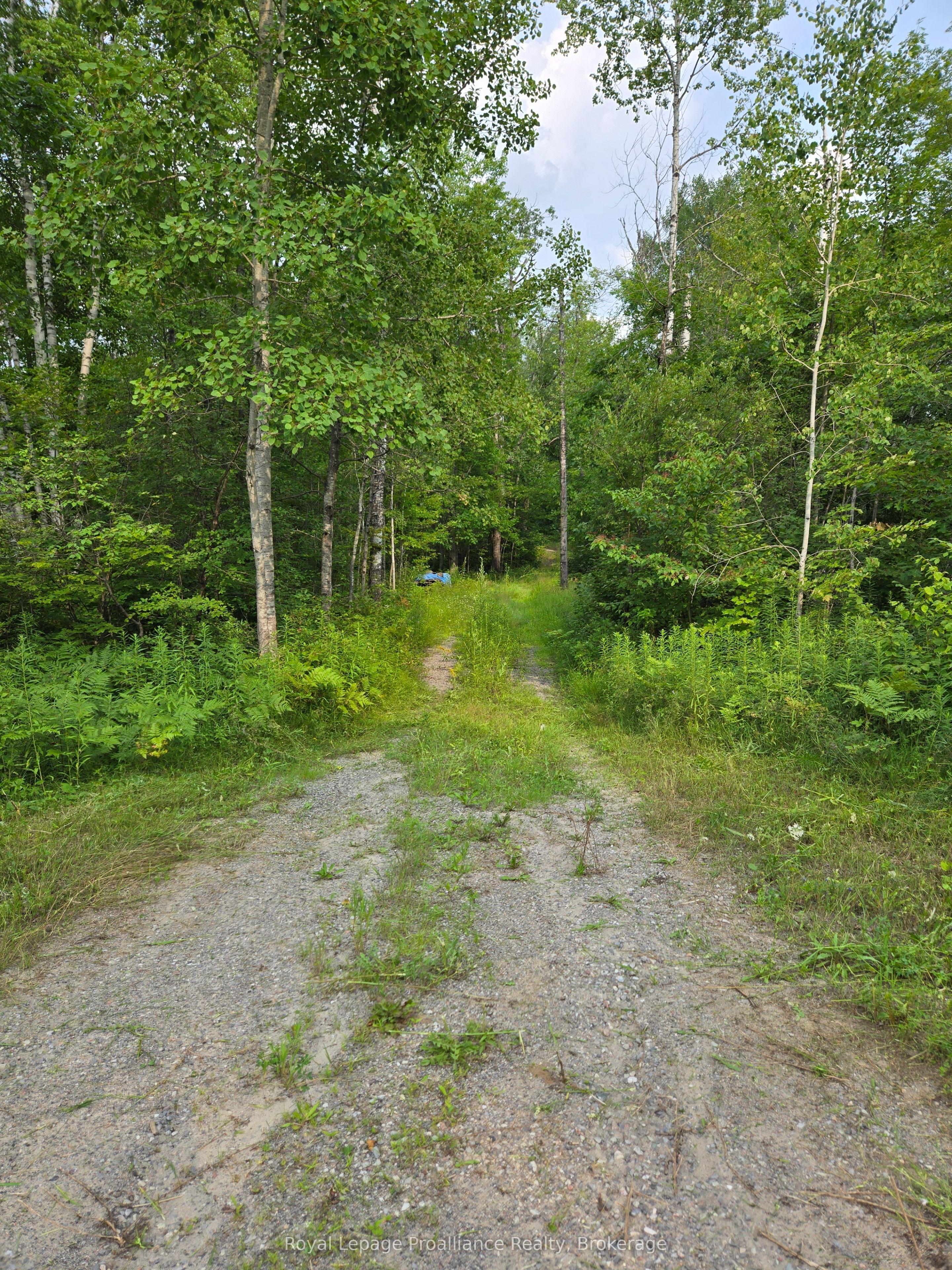 1446 Flinton Road, Tweed, ON K0H 1P0