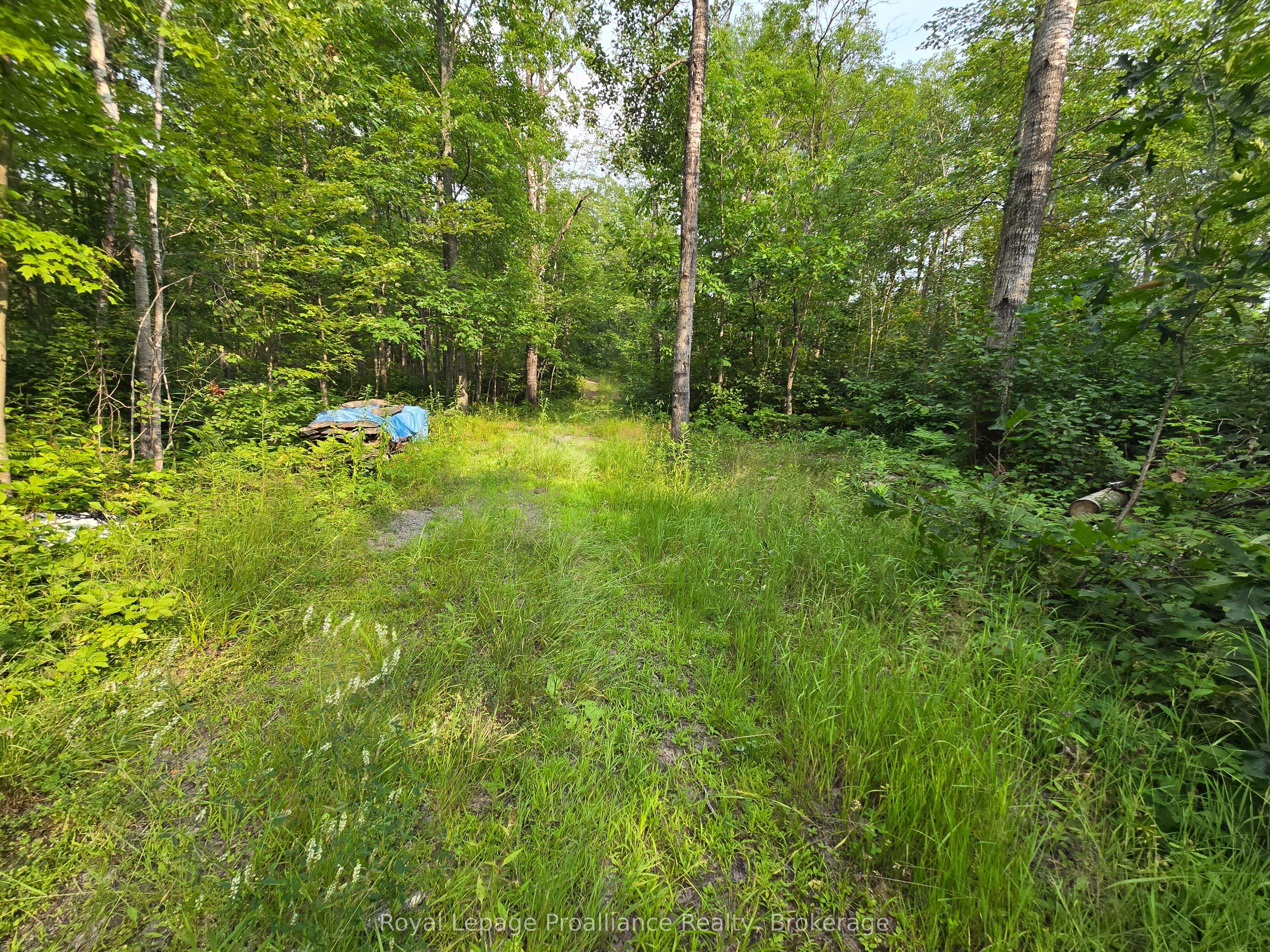 1446 Flinton Road, Tweed, ON K0H 1P0