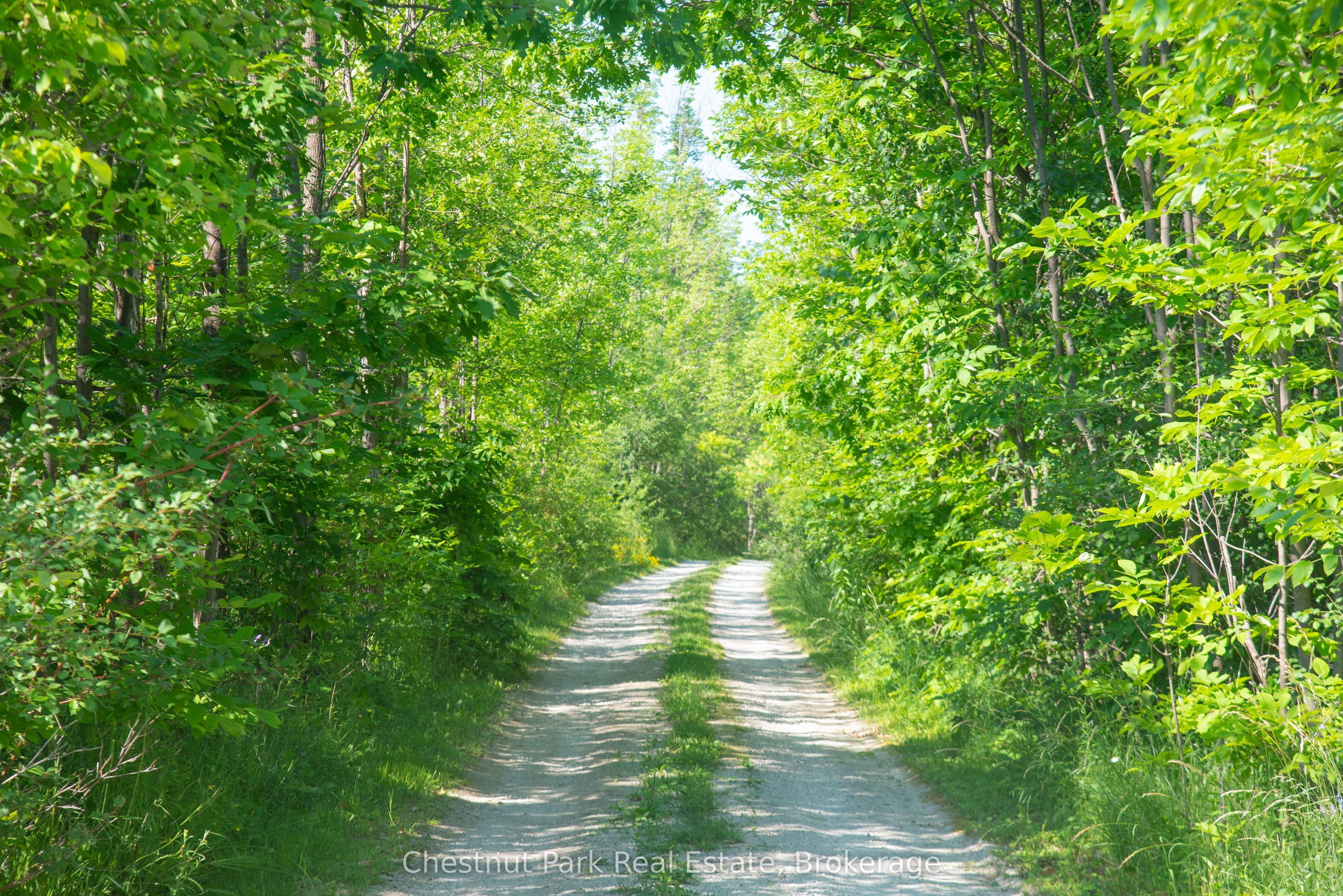 137 39th Side Road, Blue Mountains, ON N0H 2P0