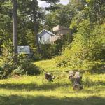 1097 Big Bay Drive E, Frontenac, ON K0H 1B0