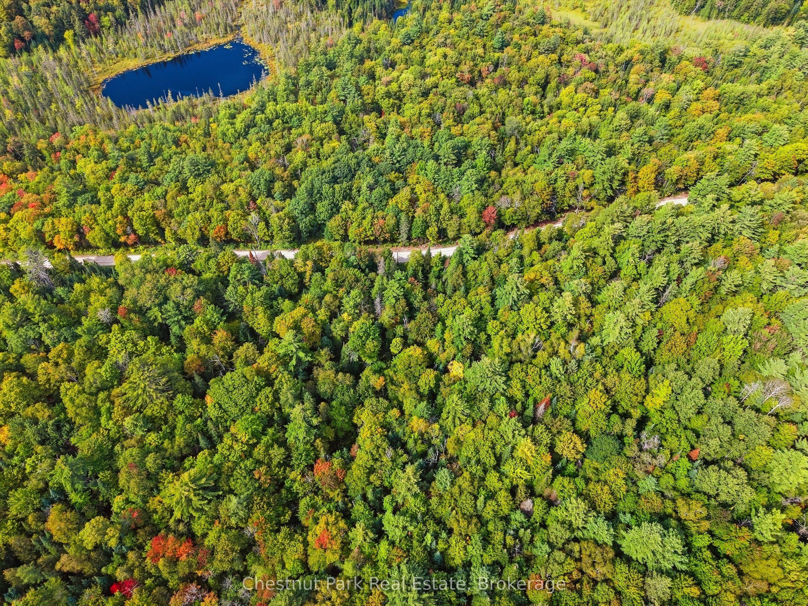 00 Paint Lake Road, Lake of Bays, ON P0B 1A0