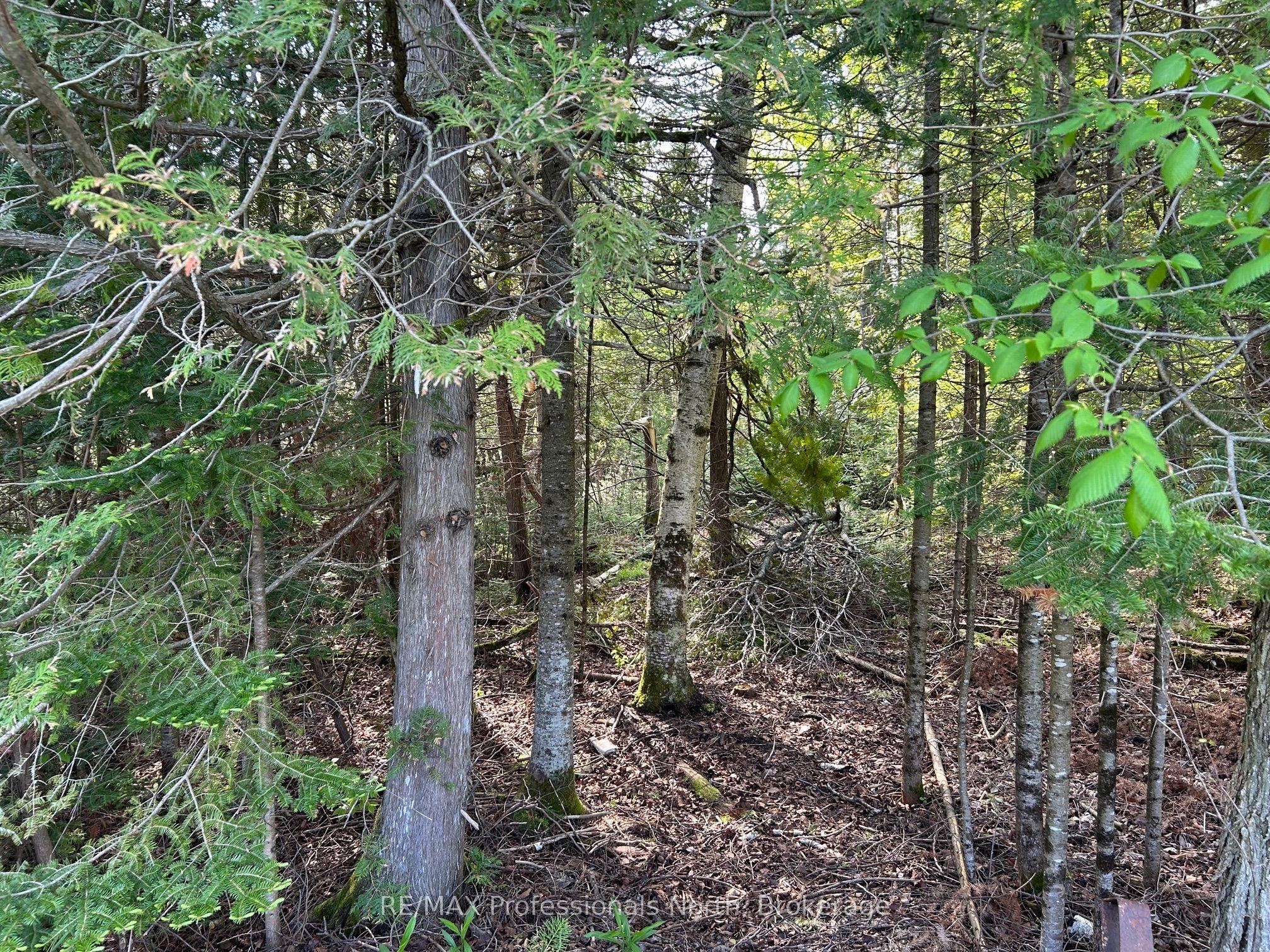 810 4th Line, Douro-Dummer, ON K0L 3E0