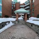 550 Cambridge Street S 603, Dows Lake - Civic Hospital and Area, ON K1S 5N3