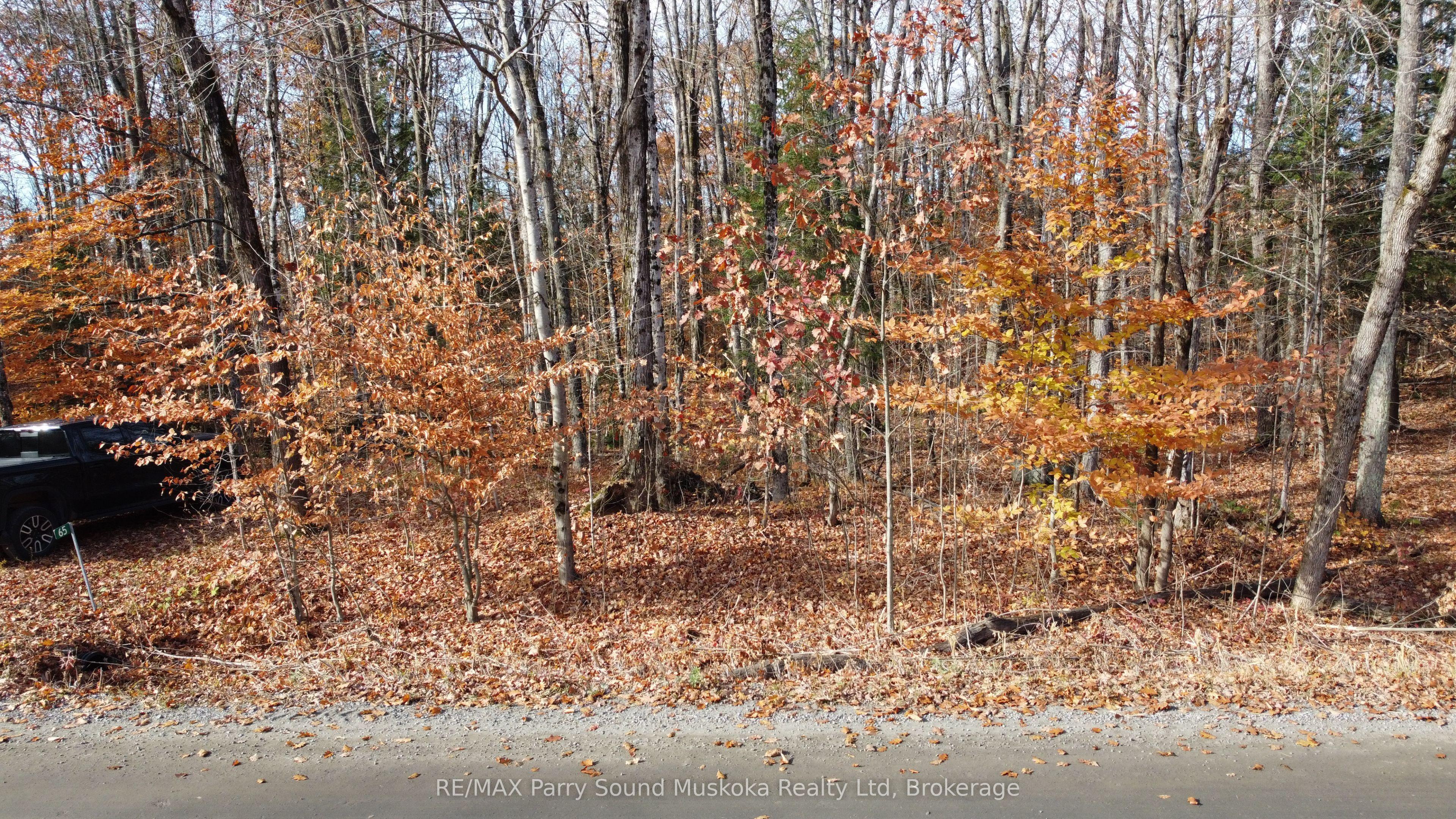 65 North Sandy Plains Road, Seguin, ON P2A 2W8