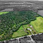92 Cricket Hollow Road, Kawartha Lakes, ON K0M 2C0