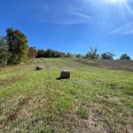 213 Vansickle Road, Havelock-Belmont-Methuen, ON K0L 1Z0