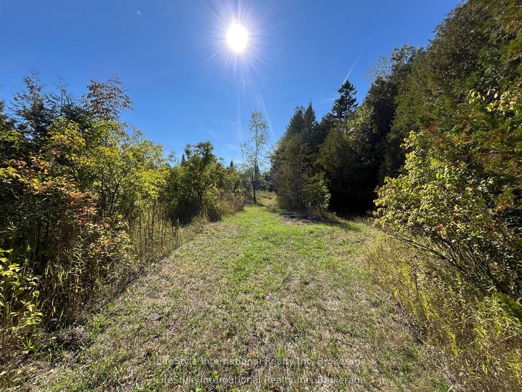 213 Vansickle Road, Havelock-Belmont-Methuen, ON K0L 1Z0